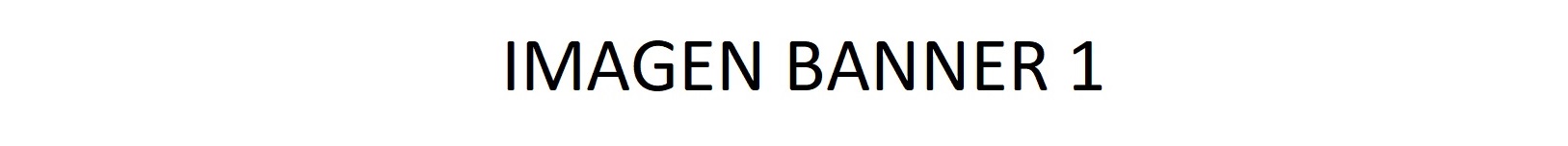 Banner IBERIA